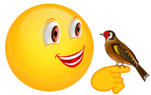 Smiley der einen vogel zeigt